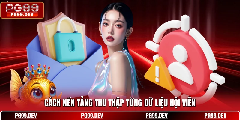 Cách nền tảng thu thập từng dữ liệu hội viên